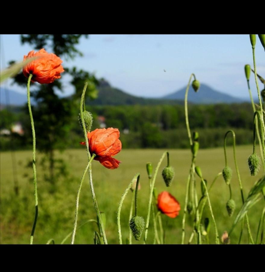 Sandsteinperle Reinhardtsdorf-Schona Esterno foto